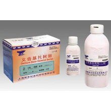 Denture Base Materials Powder Type II (Self curing)